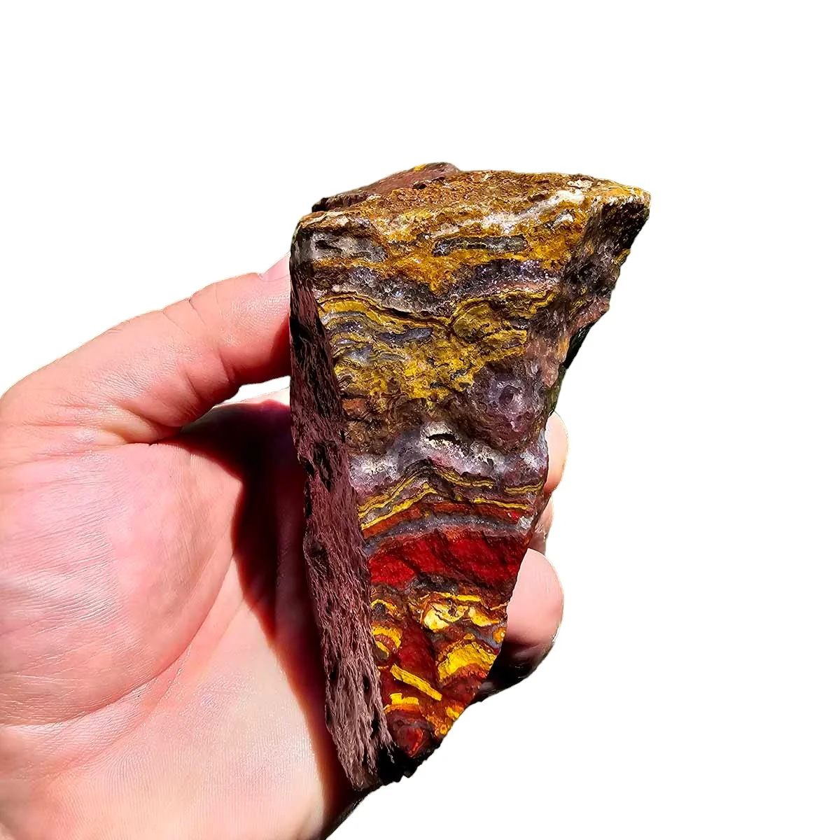 Natural Baculite Deities
